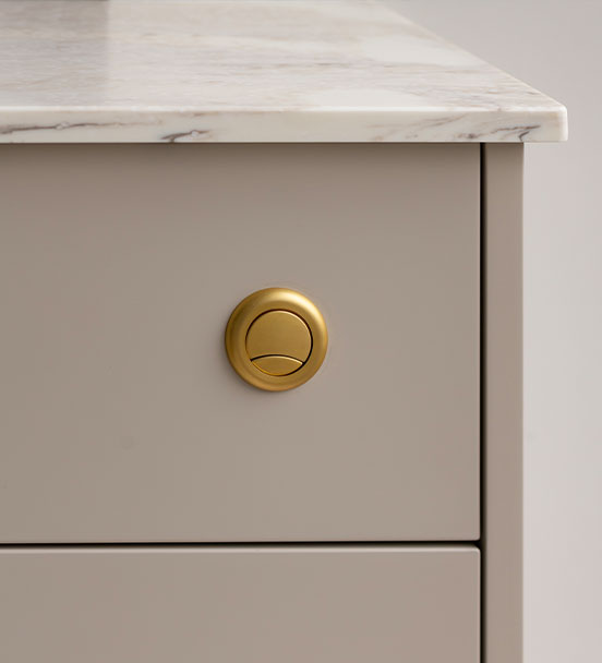 flush button menu