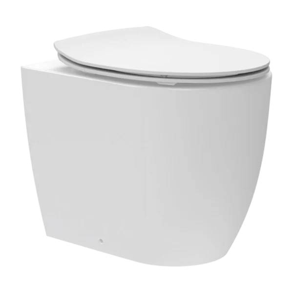 Michigan Back to Wall Rimless Pan with Collerina seat