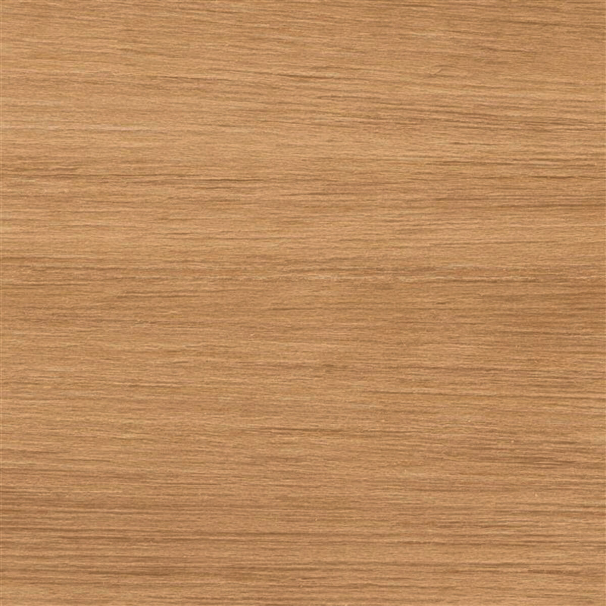 character_oak_ck.jpg character oak ck