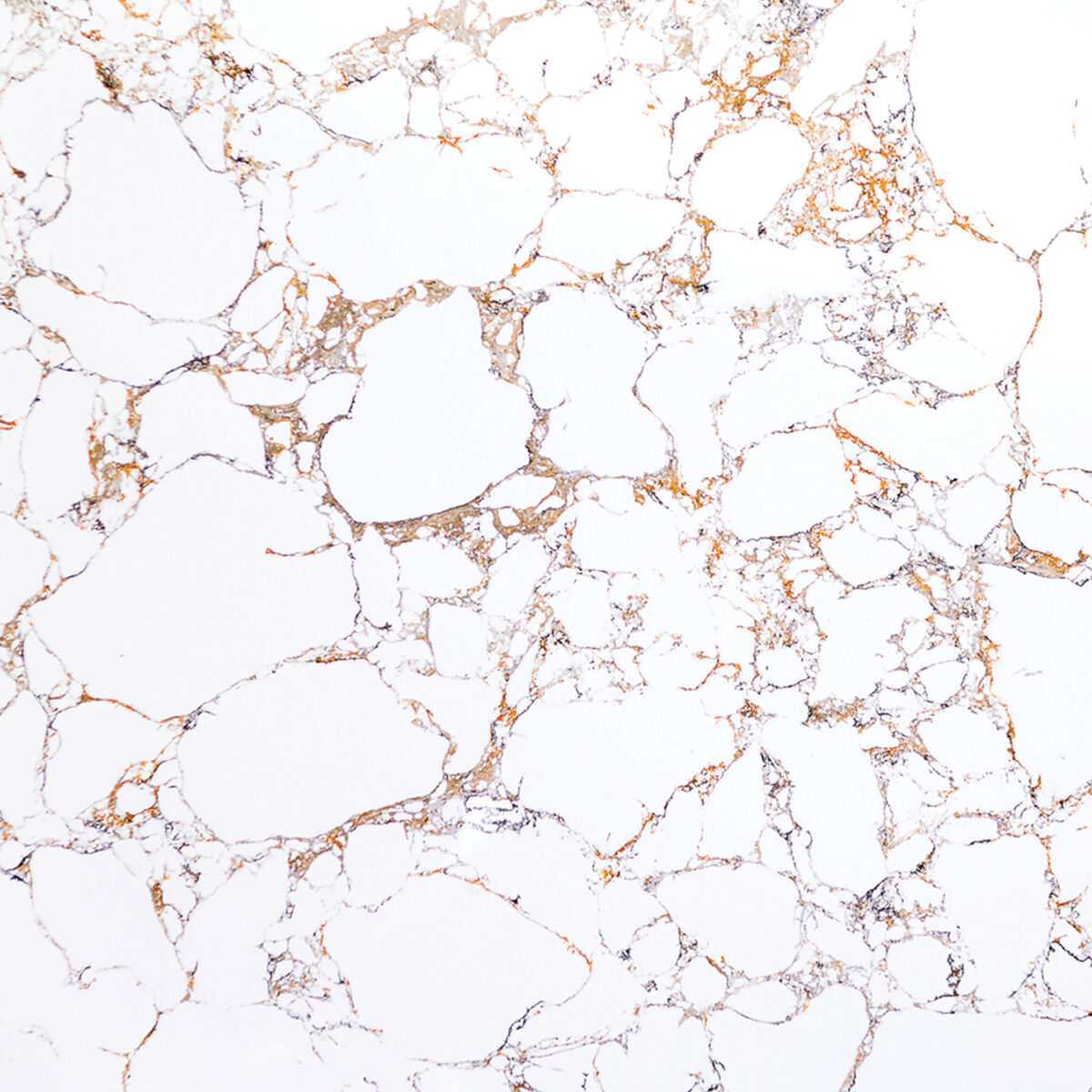 gold_calacatta_gc.jpg gold calacatta gc