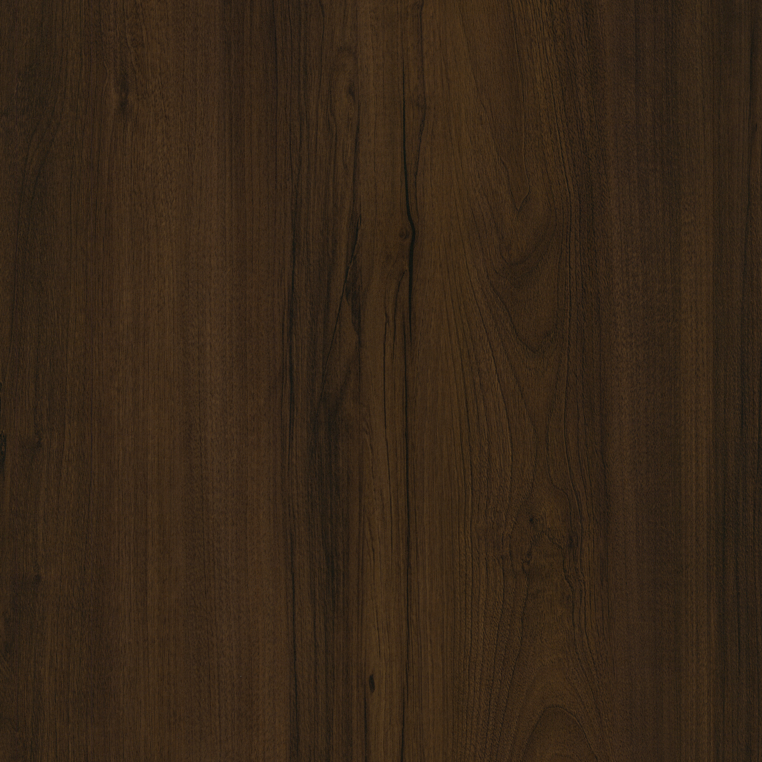 Persian Walnut